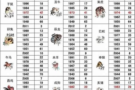 95属什么|1995年属什么生肖 1995年生肖跟什么属相配